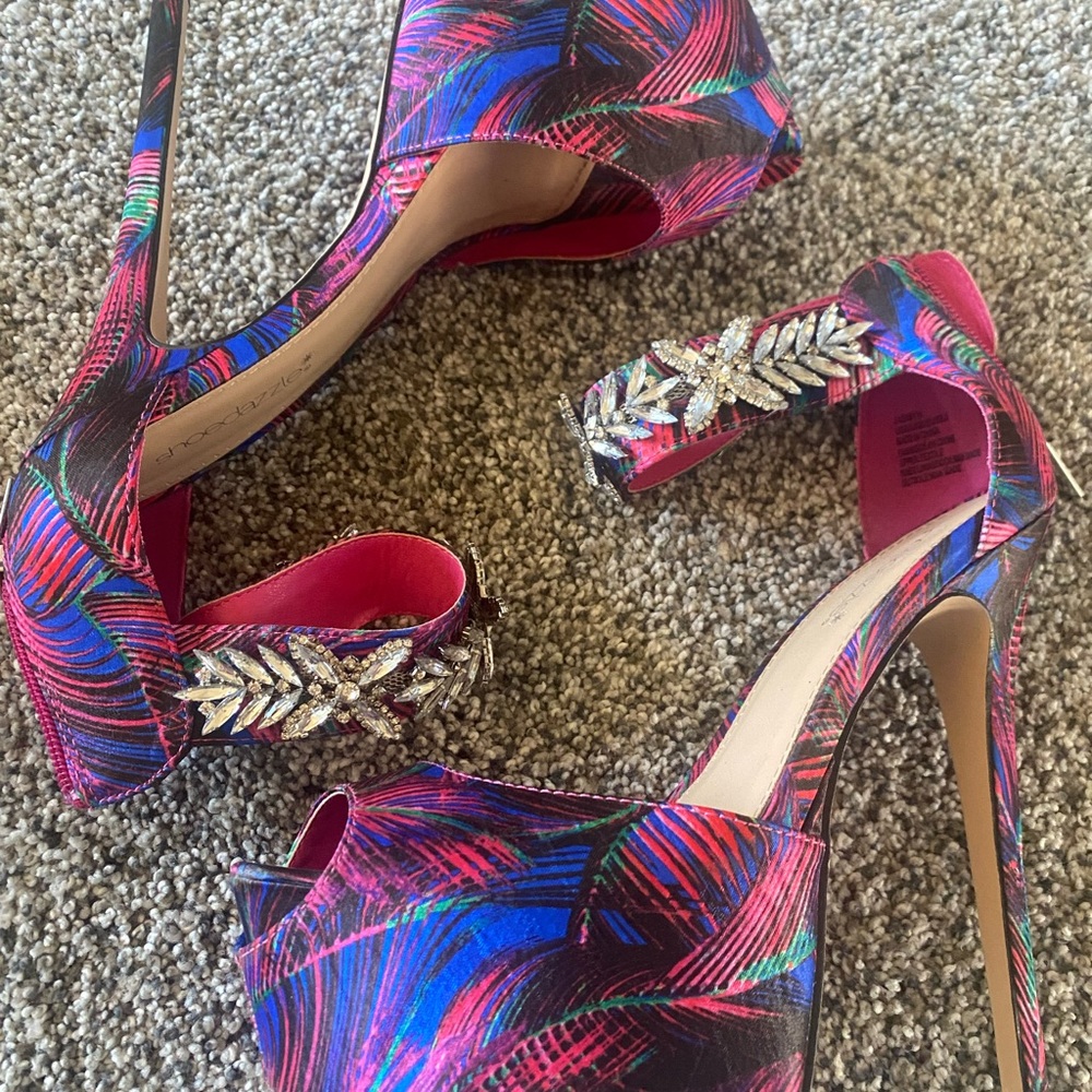 Shoe Dazzle Erika Jayne stilettos.